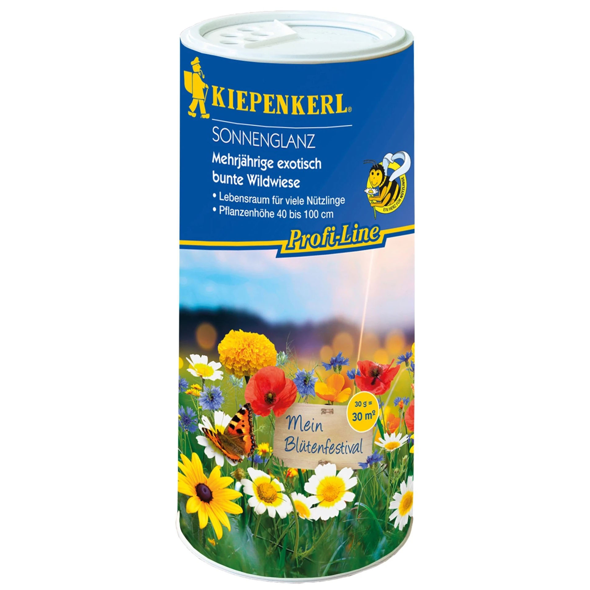 Wildwiese Sonnenglanz