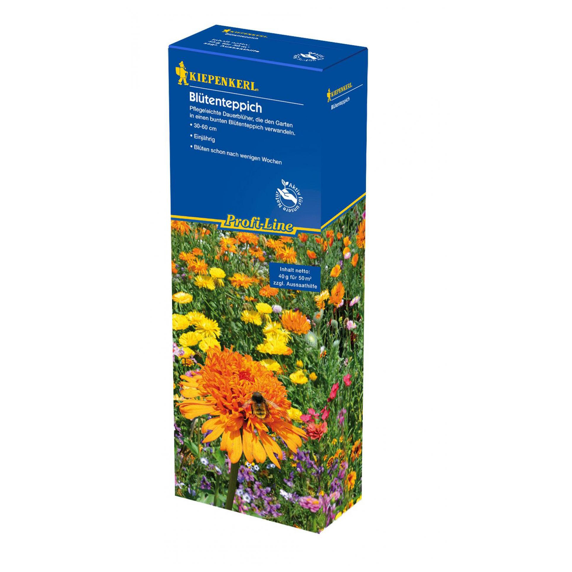 Blumenmischung Blütenteppich