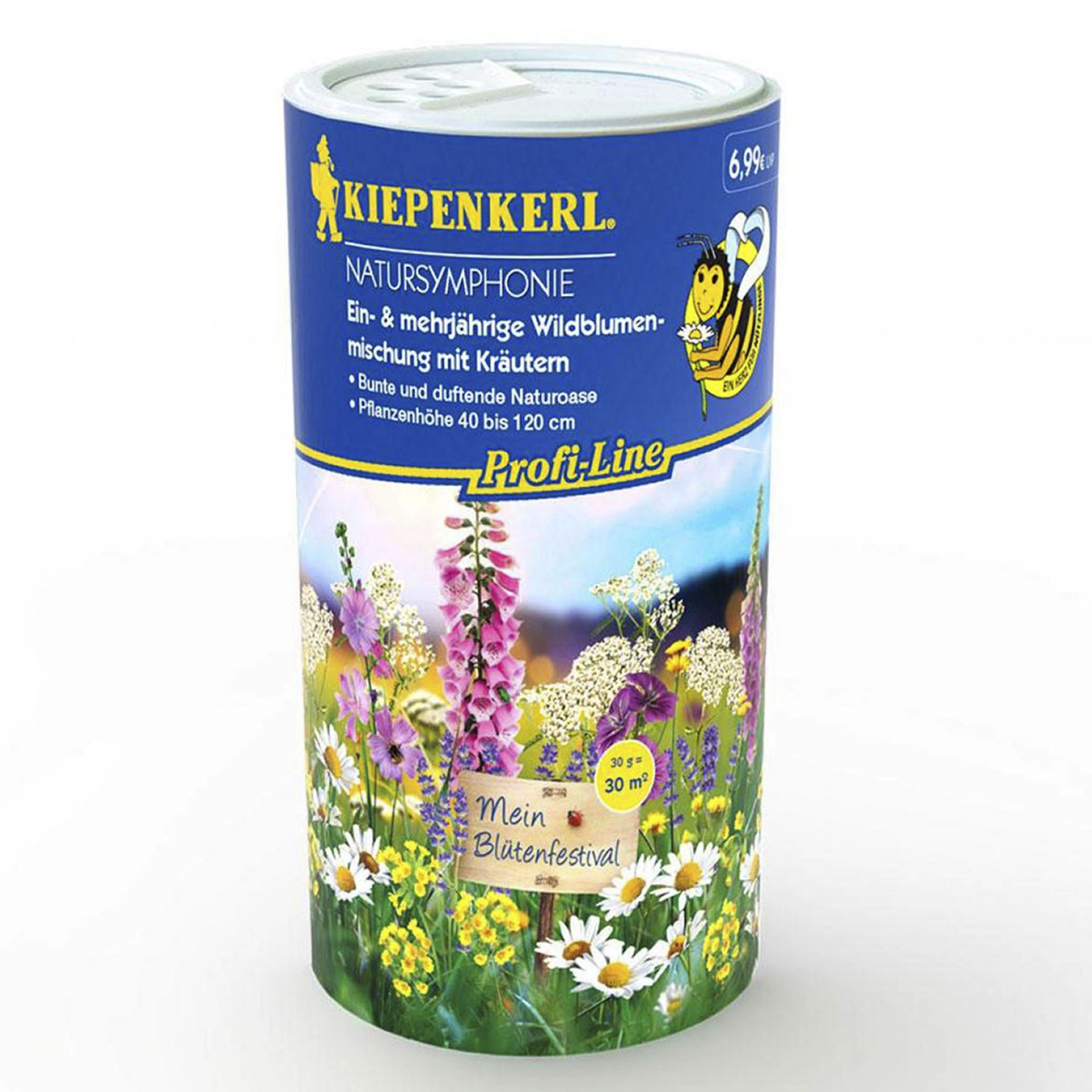 bunte Blumenpracht mit leuchtenden Blüten