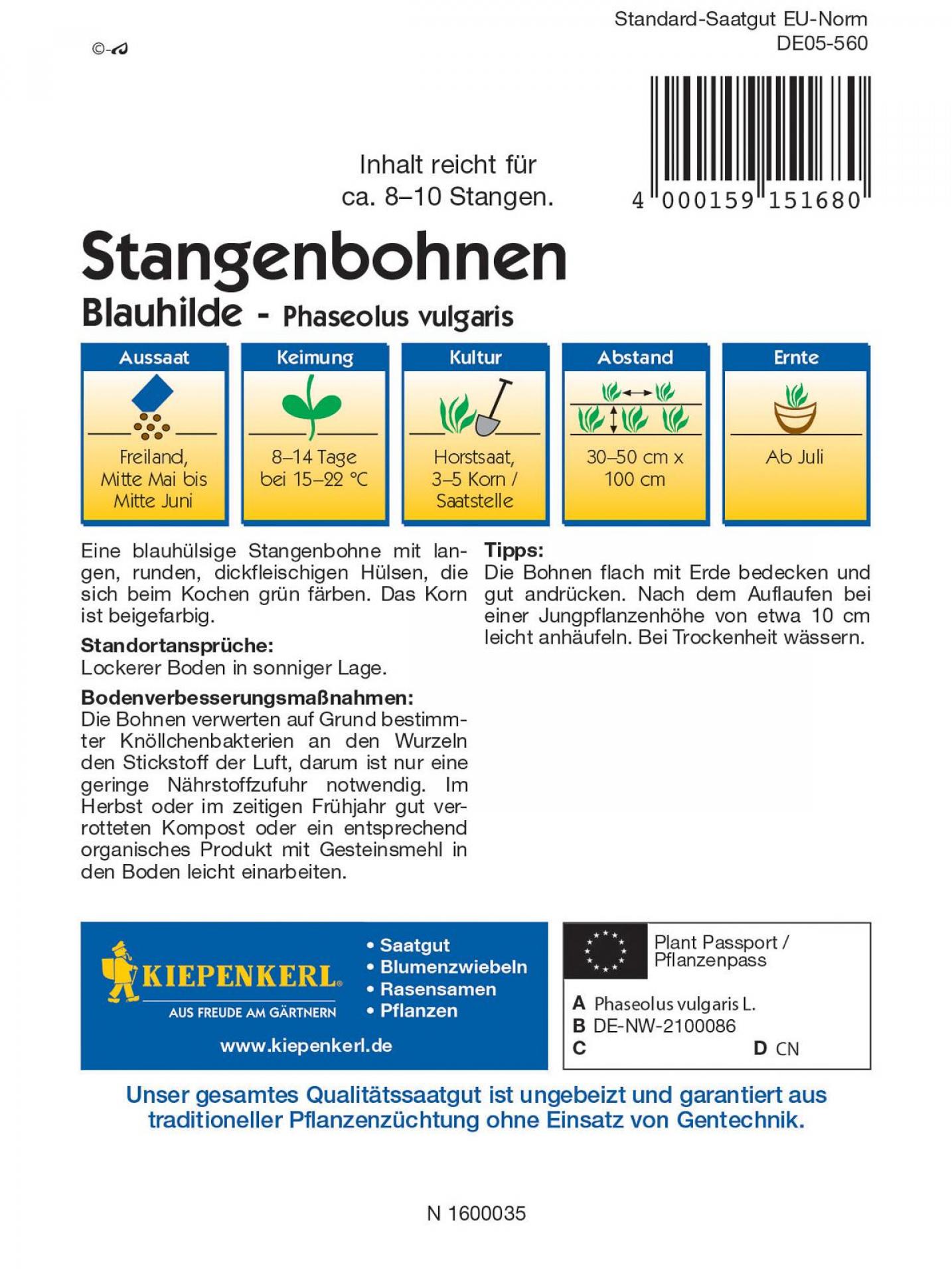 Stangenbohnen Blauhilde Saatgut