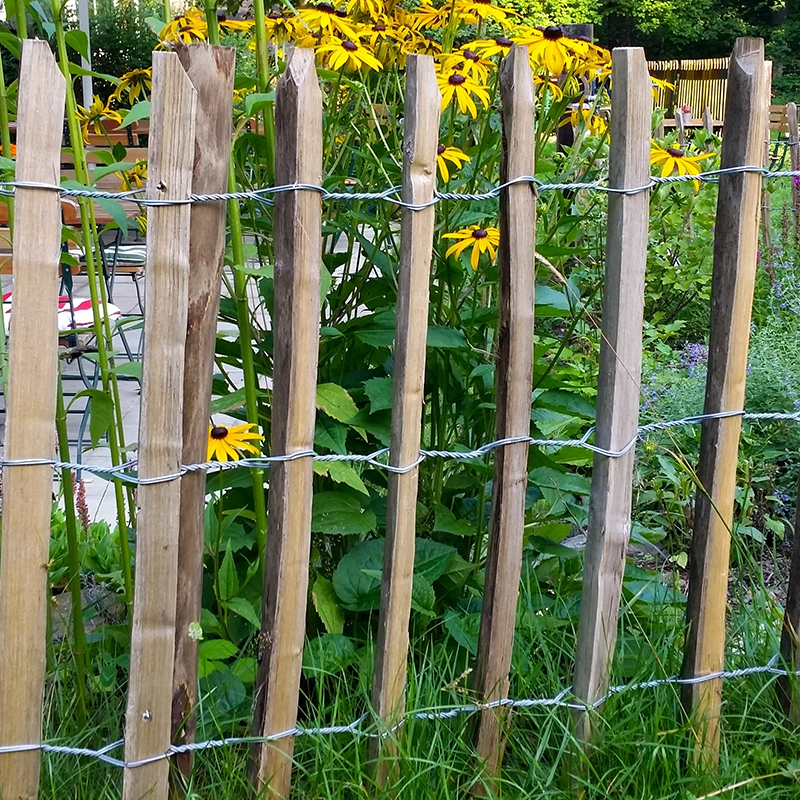 Staketenzaun Kastanie 50cmx7,5cm