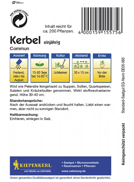 Kerbel Commun einjährig