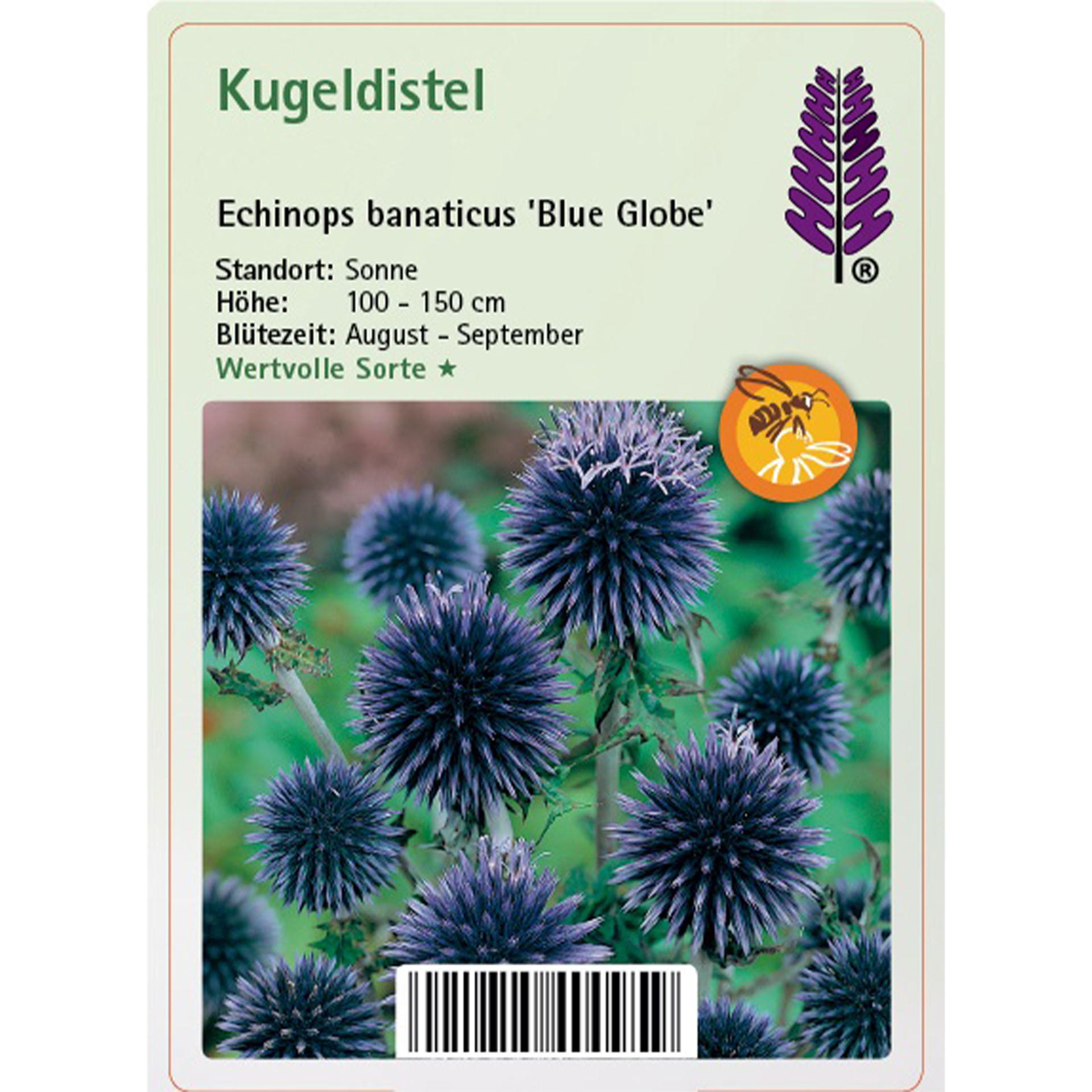 Blume, Pflanze, Text