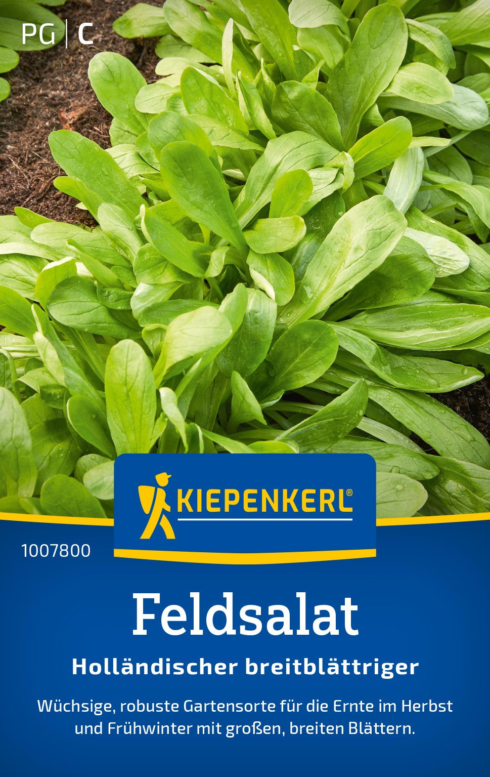 Pflanze, Essen, Produzieren, Grünes Blattgemüse, Werbung