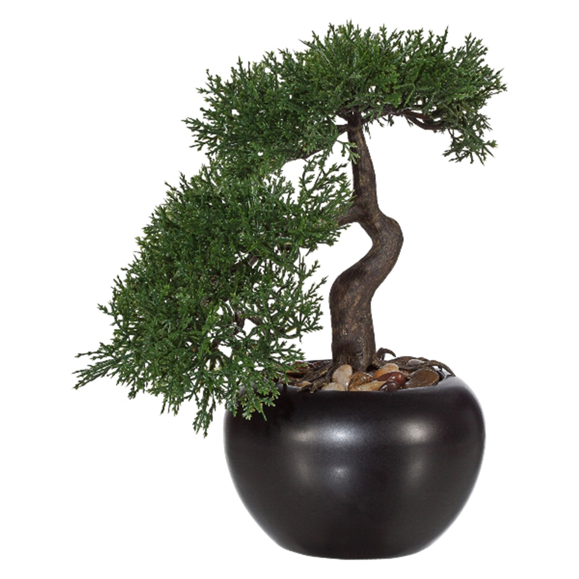 Kunstpflanze Bonsai Zeder 25cm