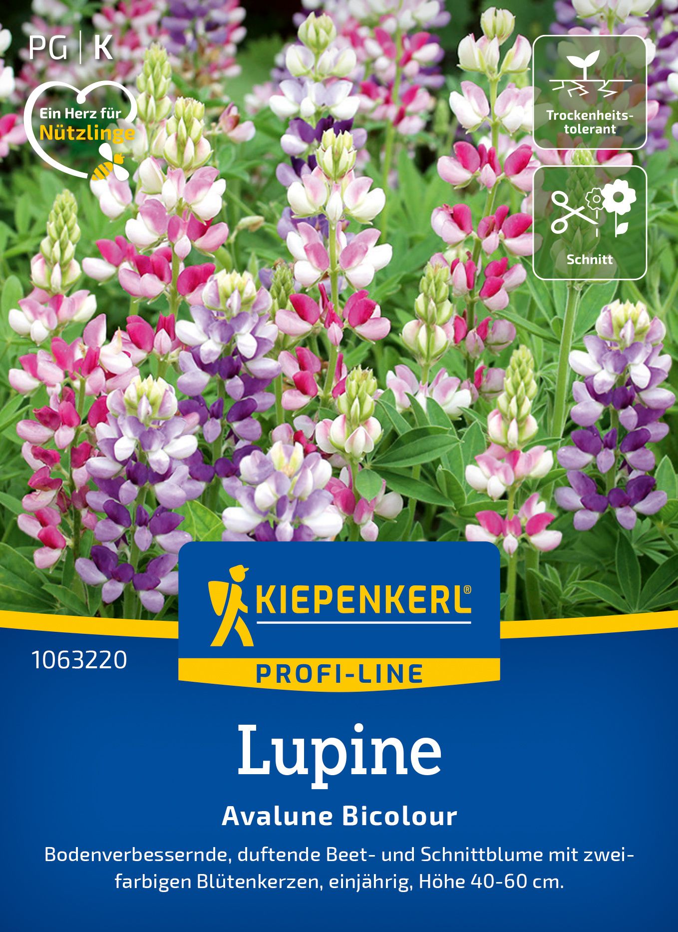 Blume, Lupine, Pflanze, Werbung, Plakat