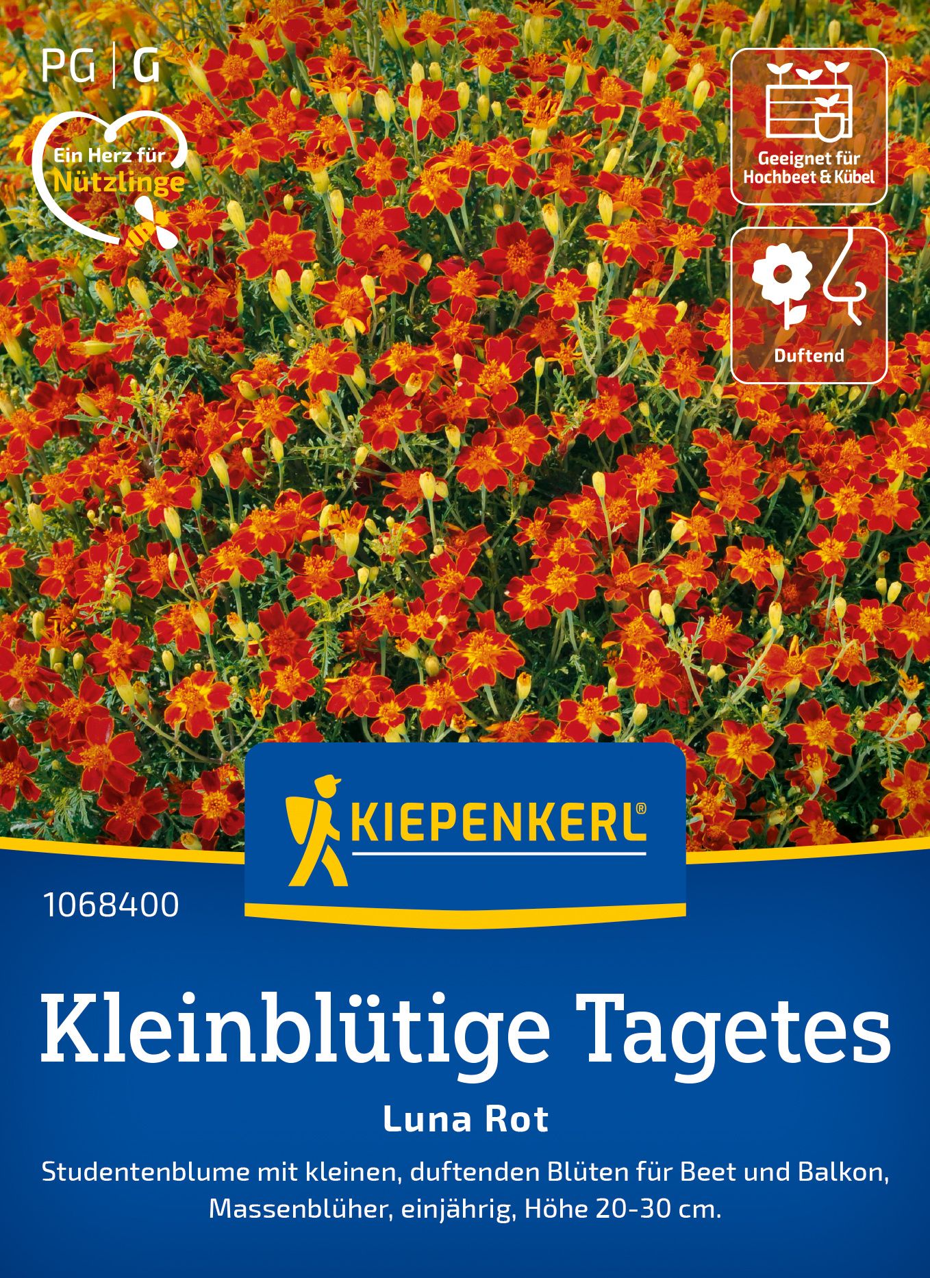 Werbung, Plakat, Kräuter, Blume, Blütenblatt