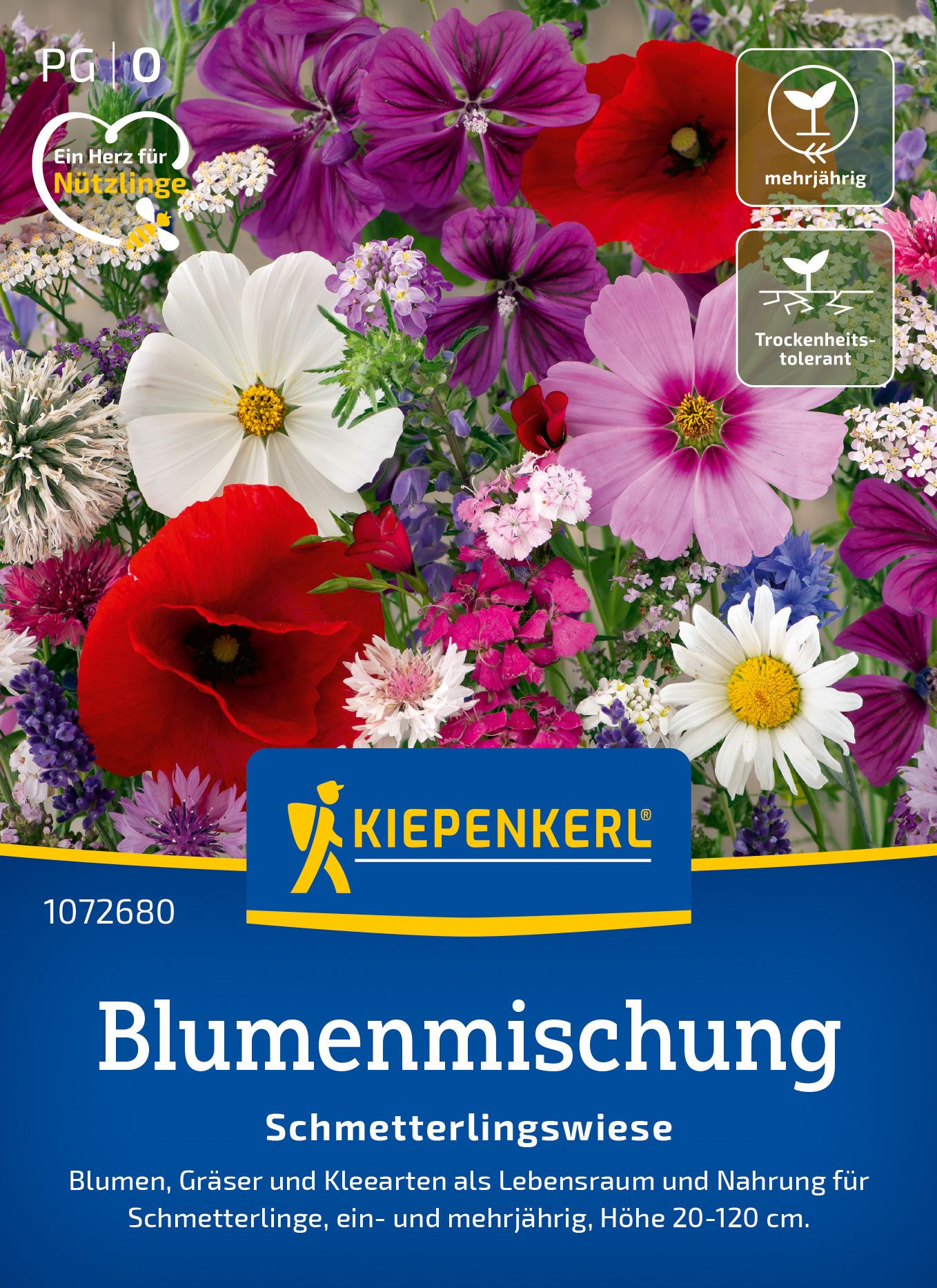 Werbung, Plakat, Blume, Gänseblümchen, Kräuter