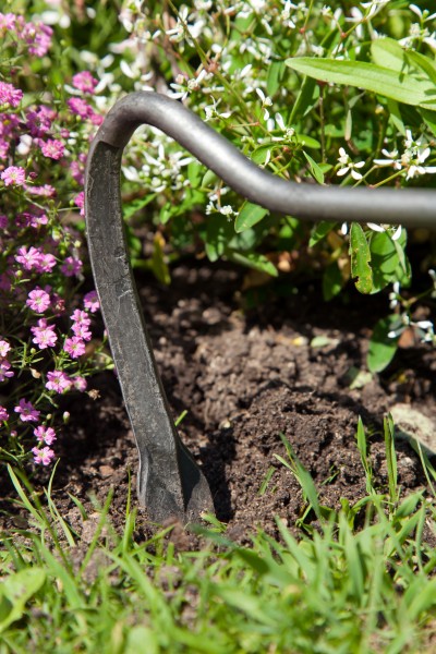 Bio Sauzahn mit Eschen-Knopf-Stiel