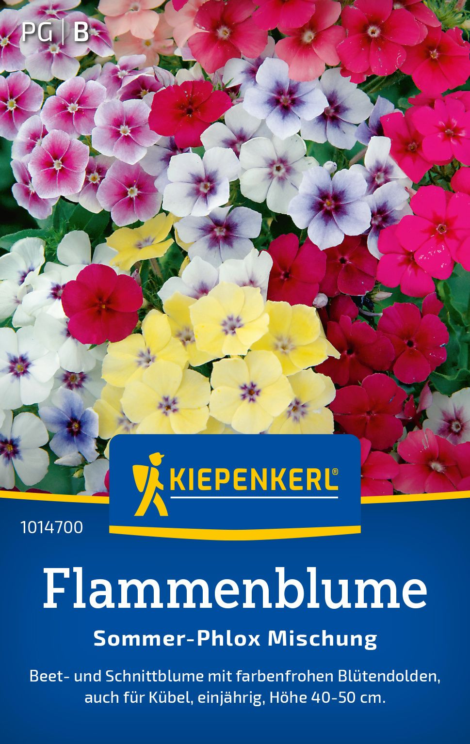 Werbung, Plakat, Blume, Pflanze, Geranie
