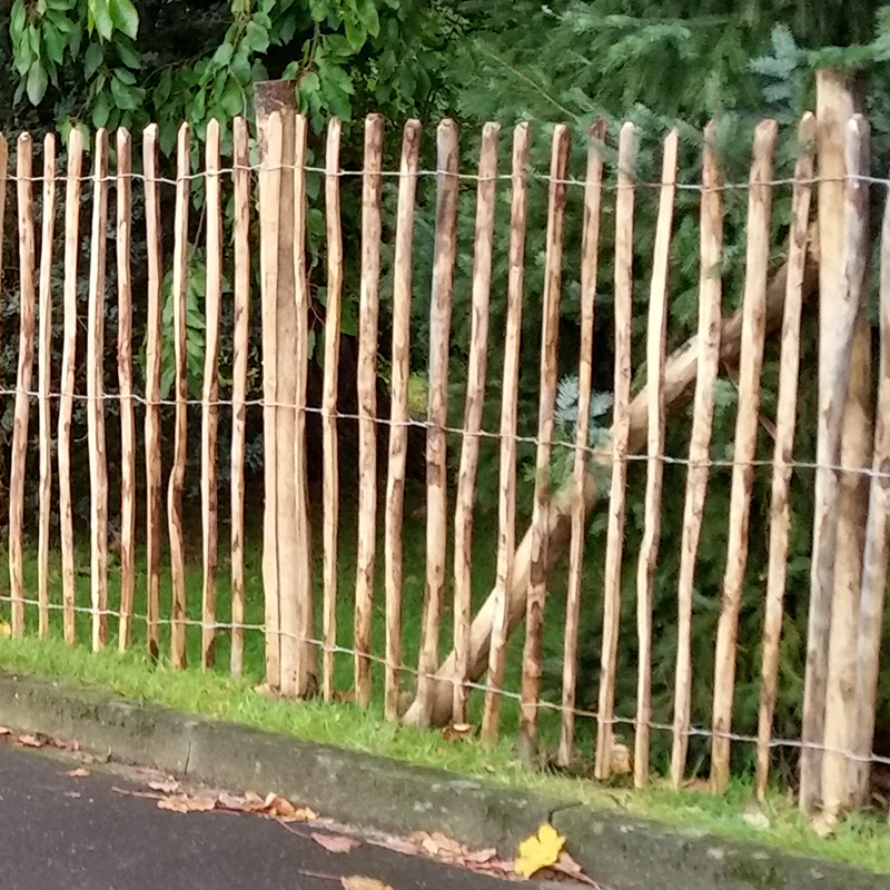 Staketenzaun Kastanie 120cmx7,5cm