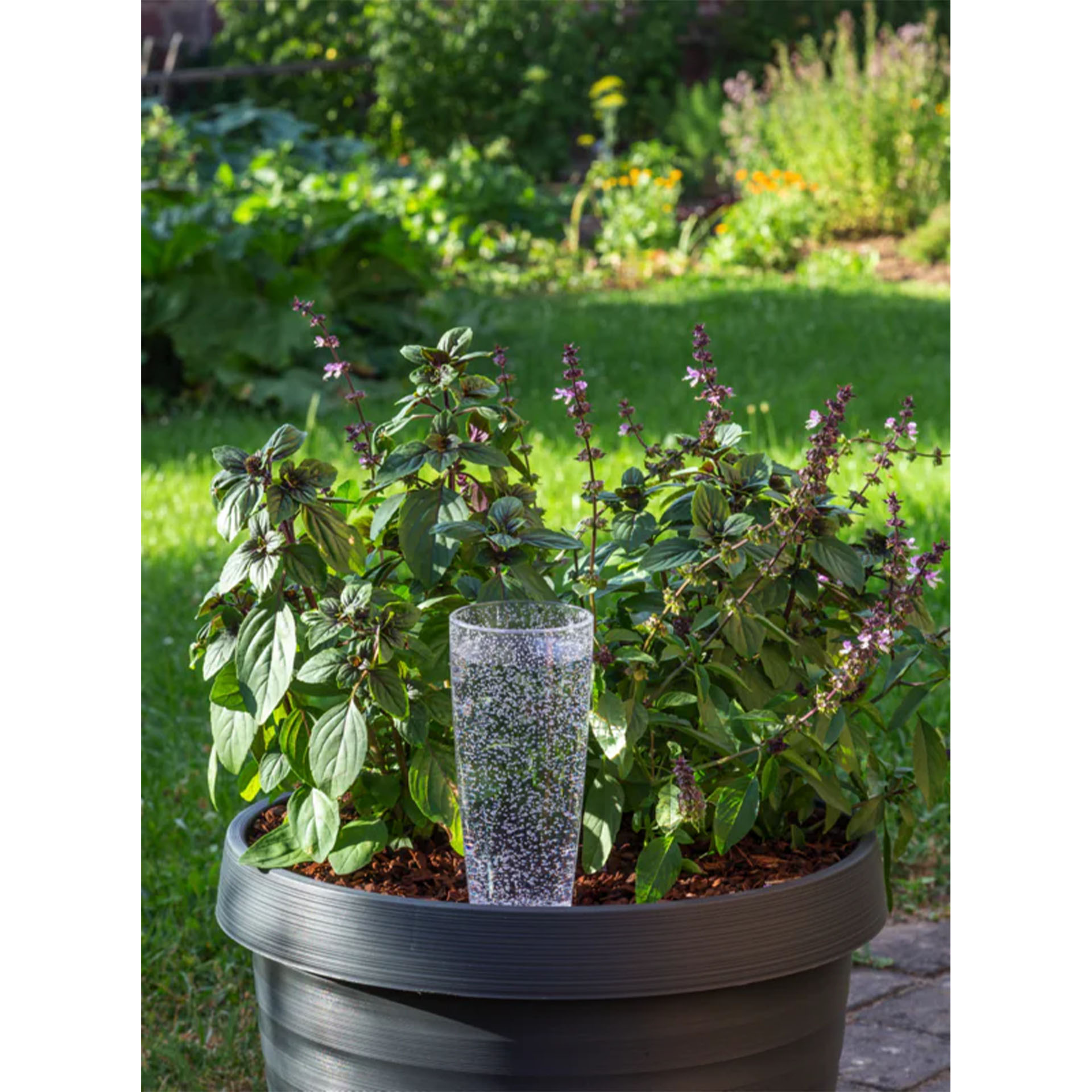 Wasserspeicher Copa Transparent/Clear