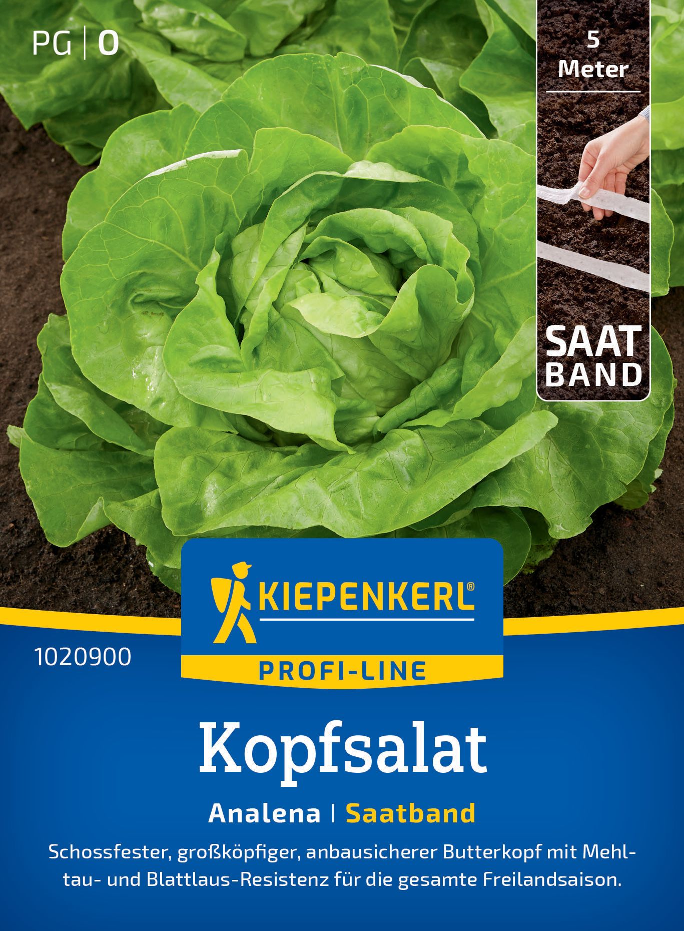 Werbung, Plakat, Essen, Produzieren, Kopfsalat