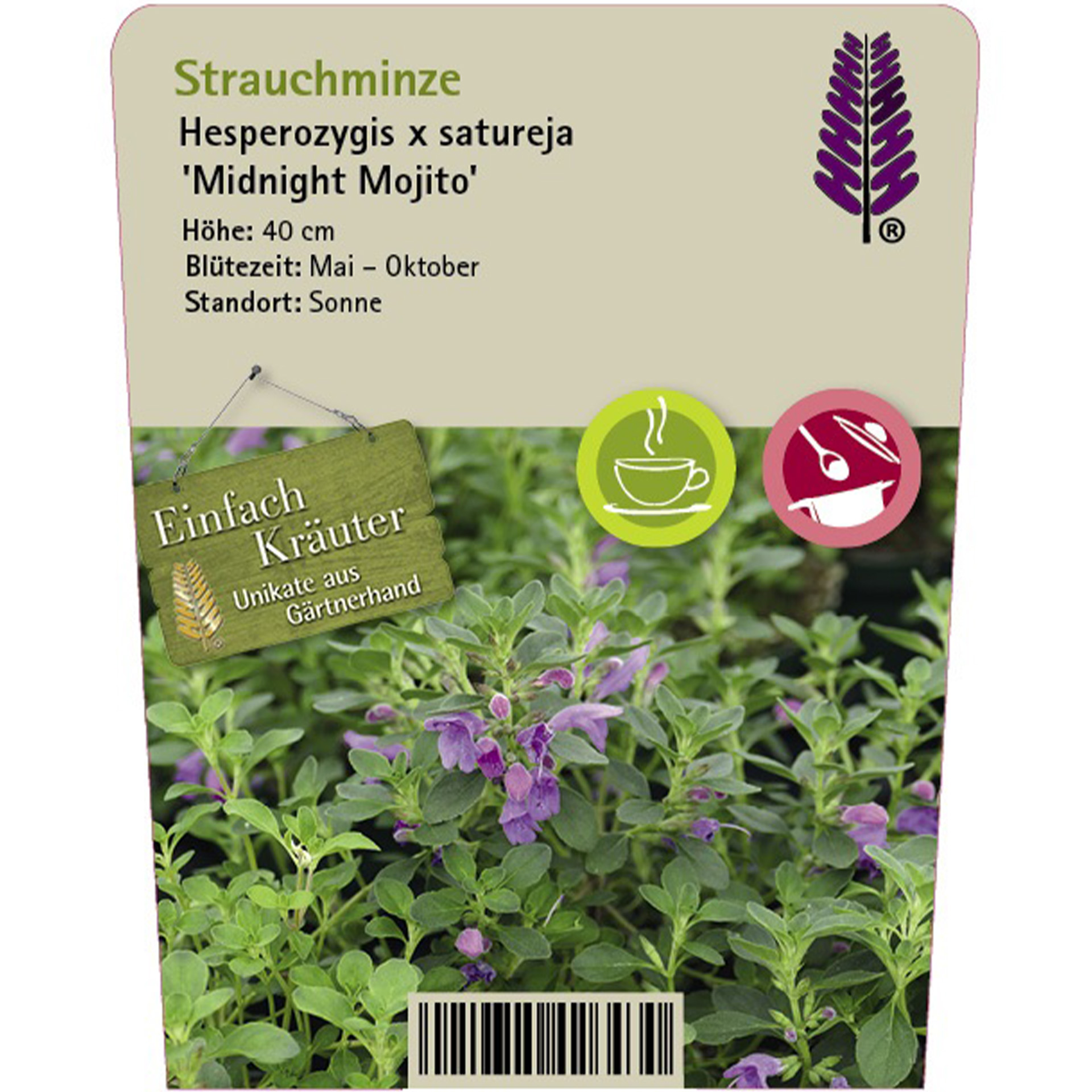 Kräuterig, Kräuter, Pflanze, Blume, Kräuterig, Kräuter, Pflanze, Blume