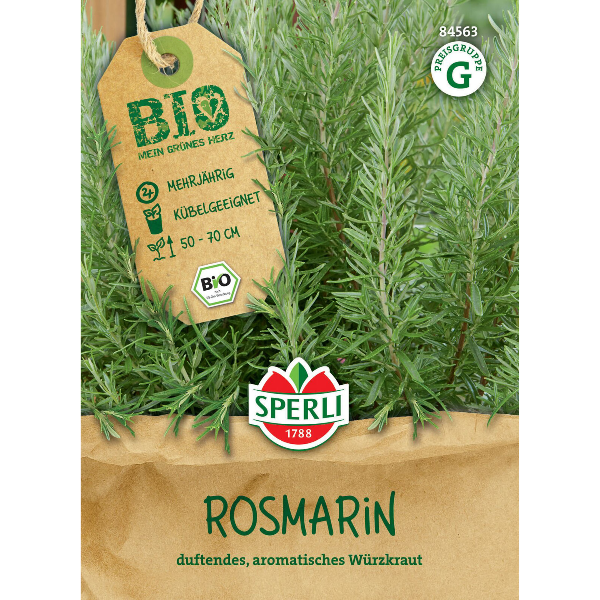 BIO Rosmarin, Kräutersamen