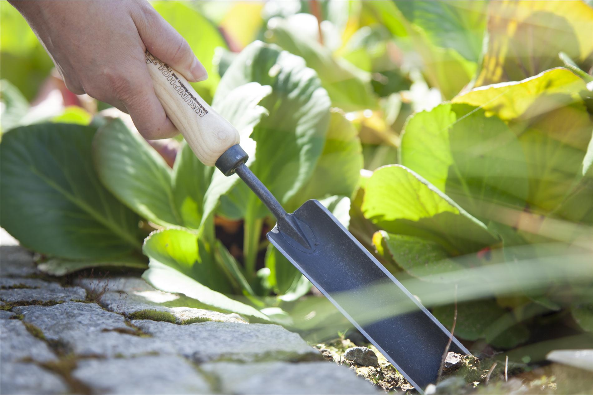 Schmale Pflanzenkelle von Krumpholz