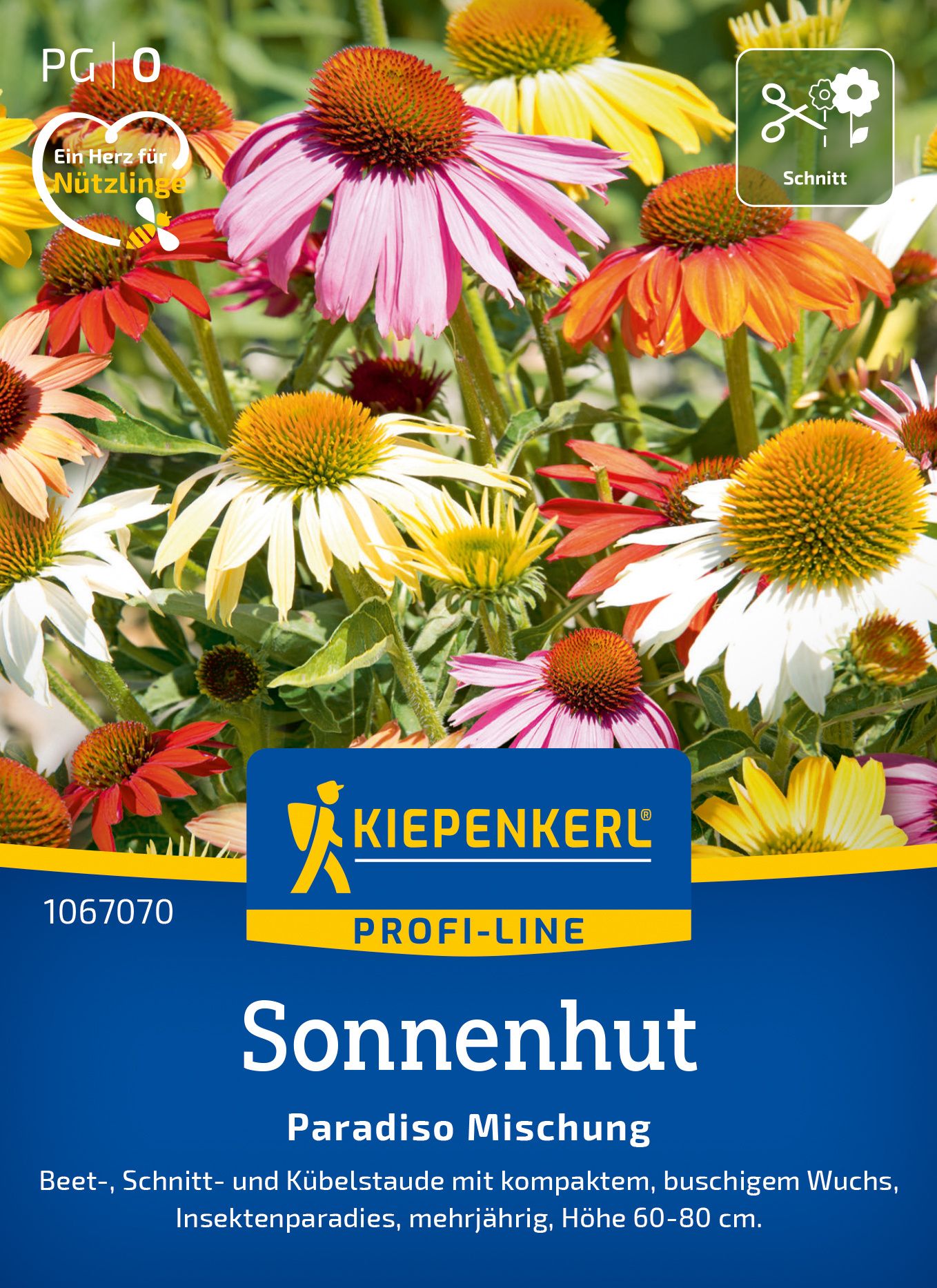 Werbung, Plakat, Kräuter, Gänseblümchen, Blume