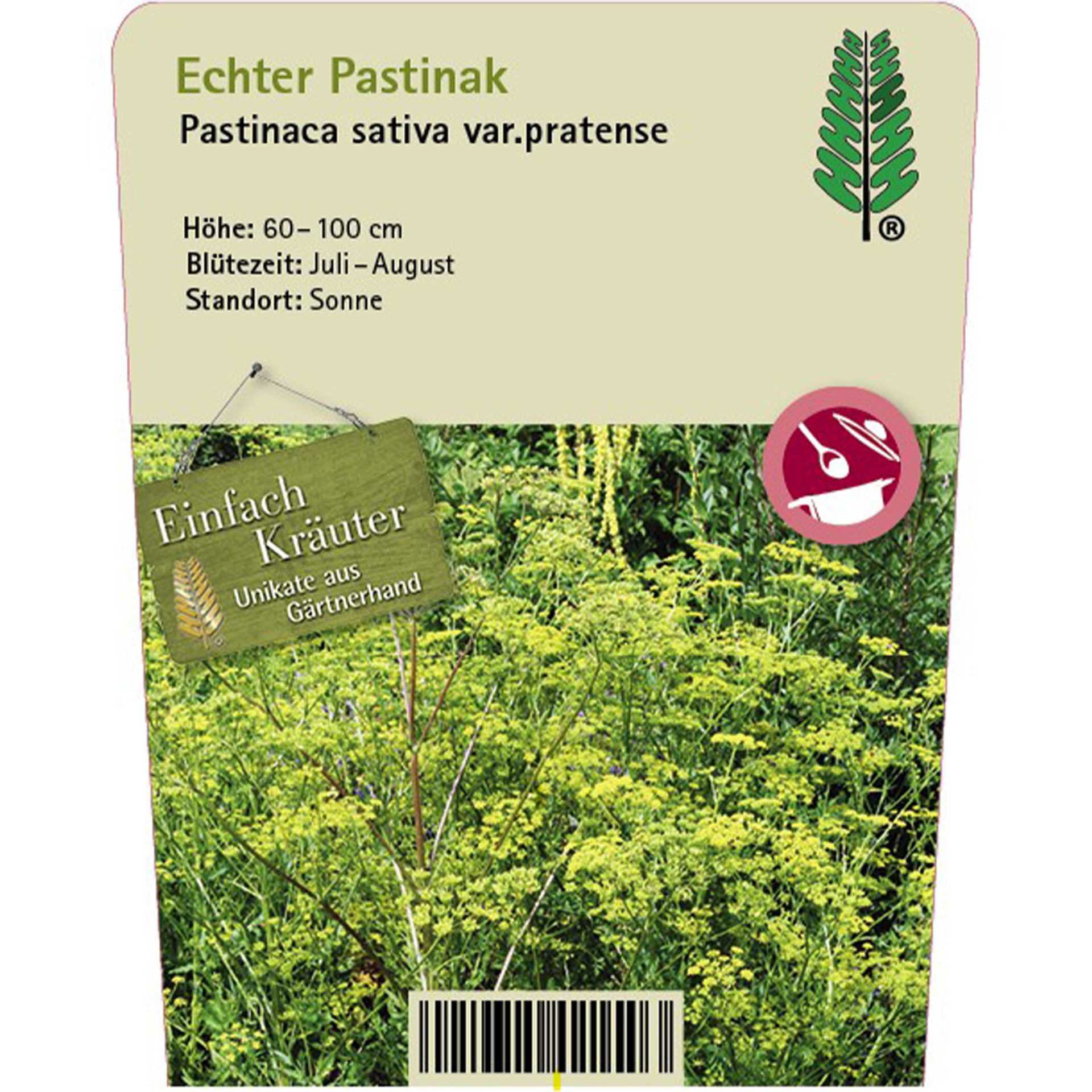 Kraut, Kräuter, Pflanzen, Naturpflanze, Etikett