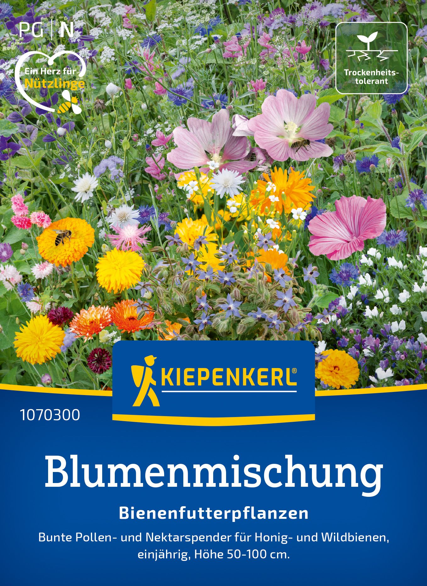 Werbung, Plakat, Kräuter, Blume, Blütenblatt