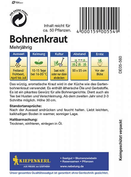 Bohnenkraut mehrjährig