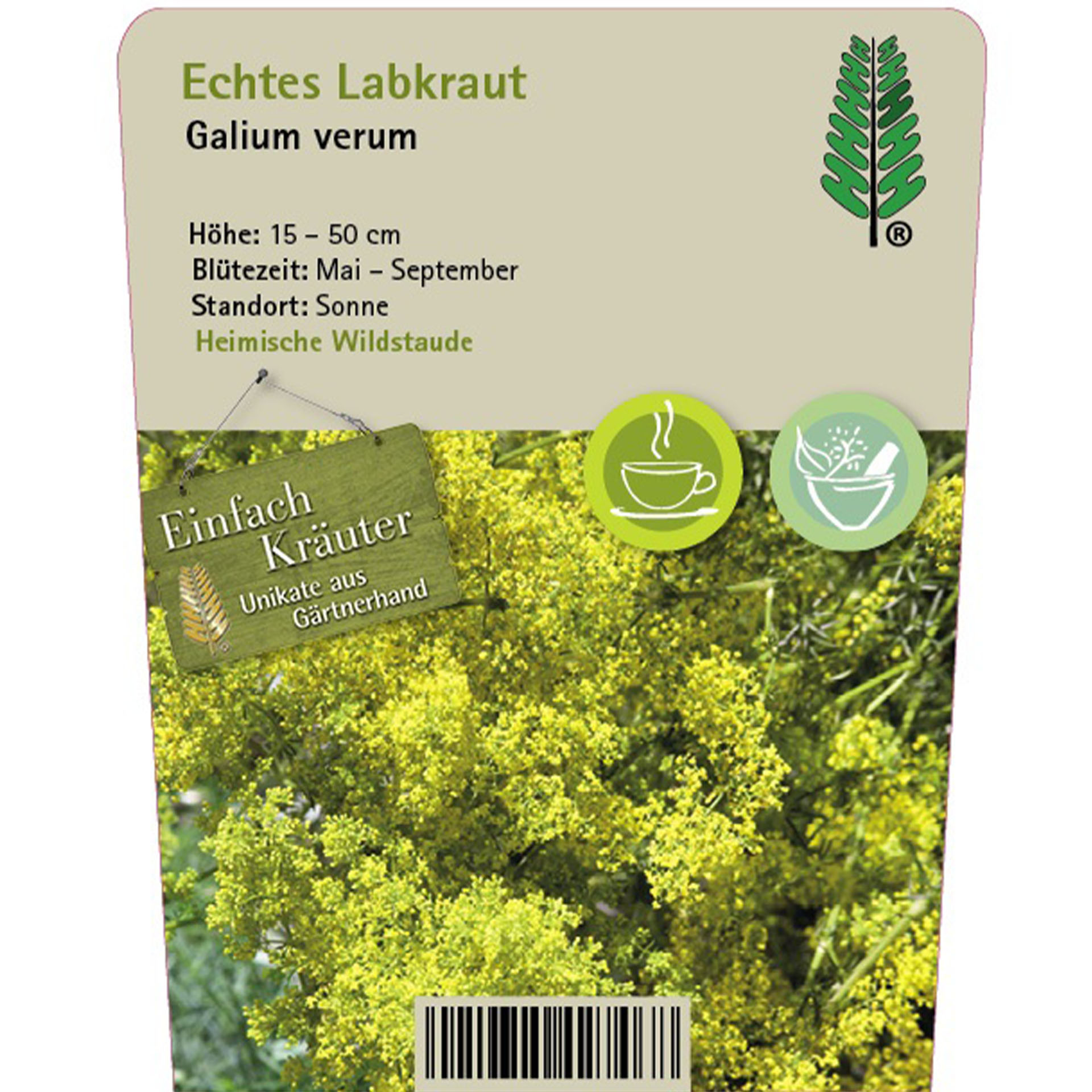 Kräuterig, Kräuter, Pflanze, Blume