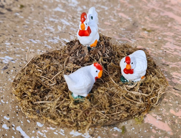 Misthaufen mit Hühner weiß