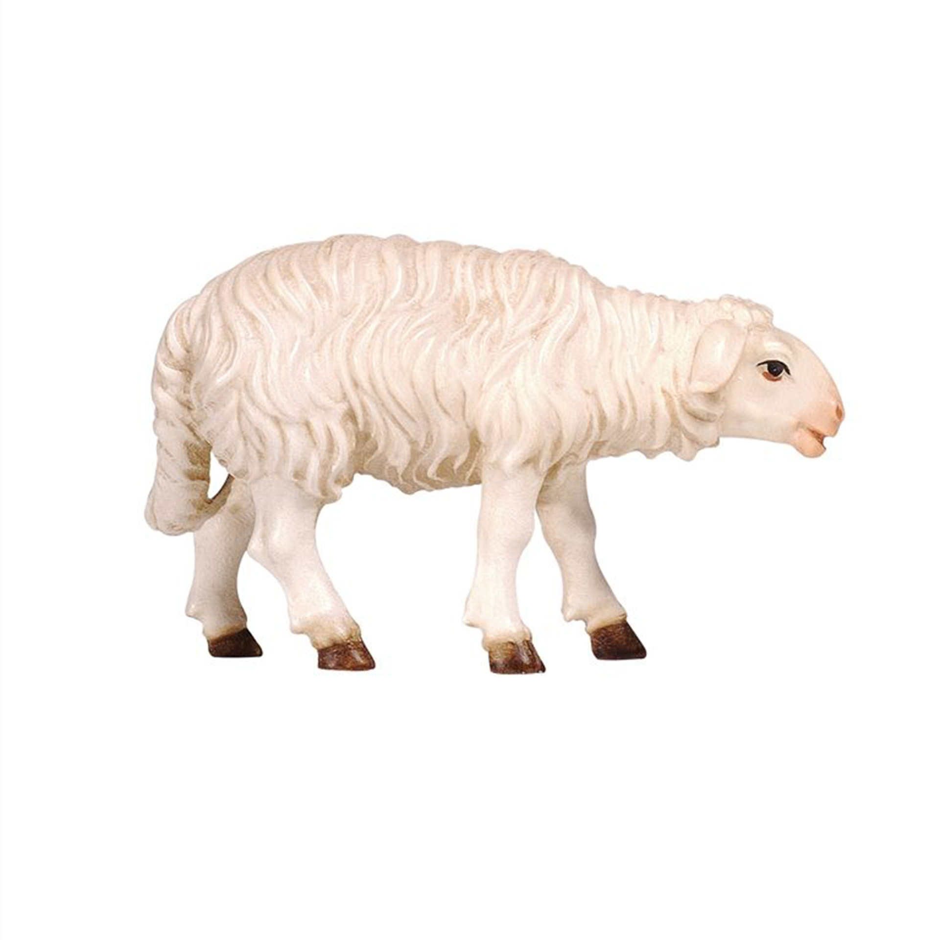 Tier, Vieh, Säugetier, Schaf