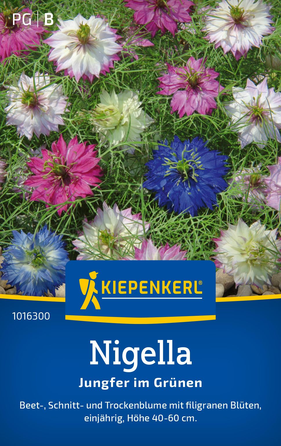 Blume, Blütenblatt, Werbung, Kräuter, Plakat