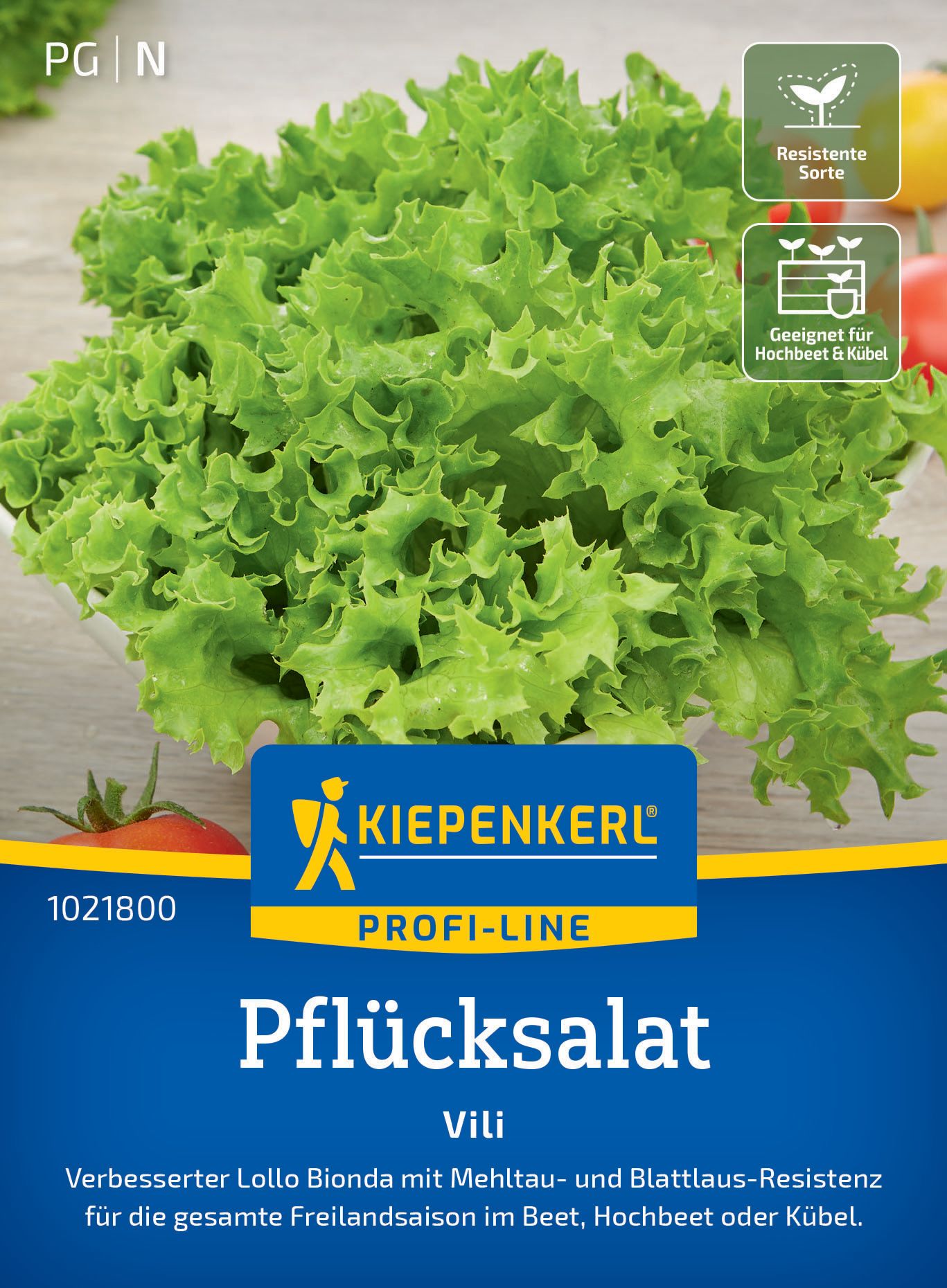Pflücksalat Vili