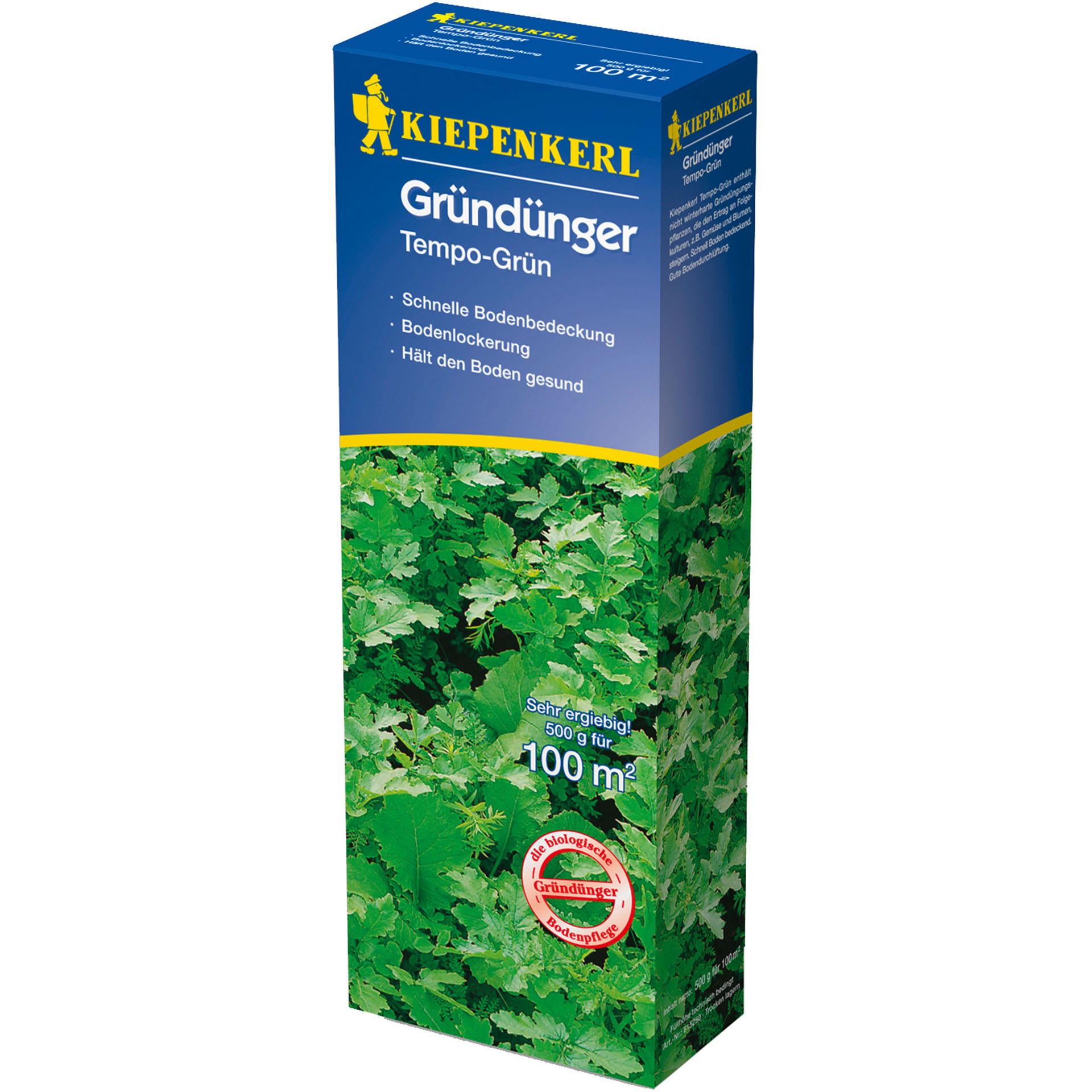 Kräuter, Pflanze, Petersilie, Grünkohl