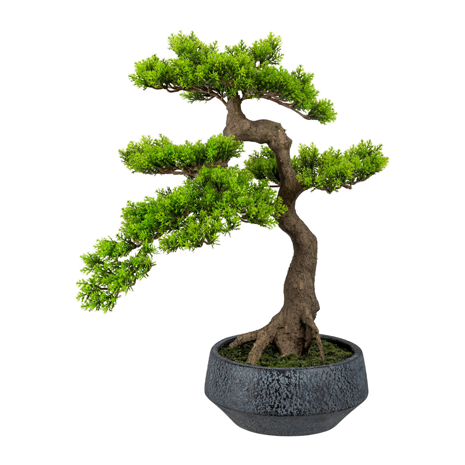 Kunstpflanze Bonsai Zeder Han Kengai 25cm