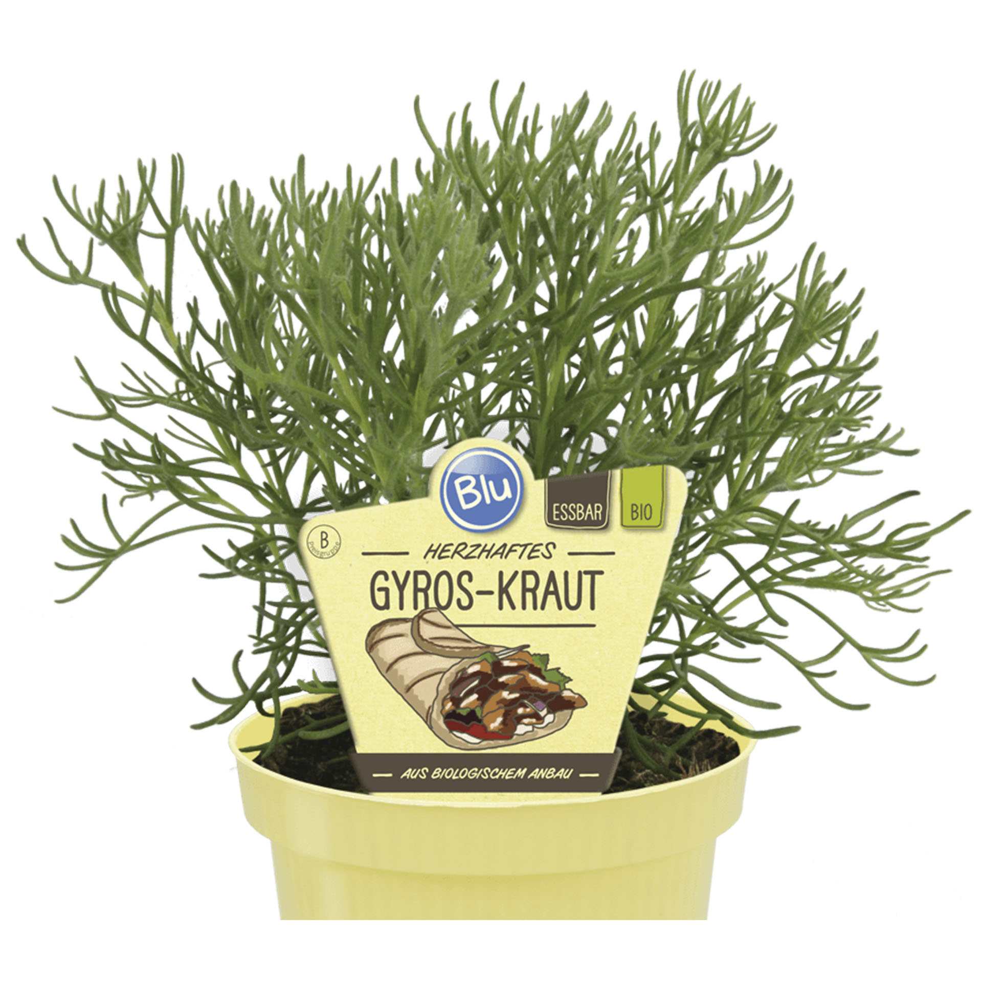 Pflanztopf mit Gyros-Kraut und Pflanzenstecker