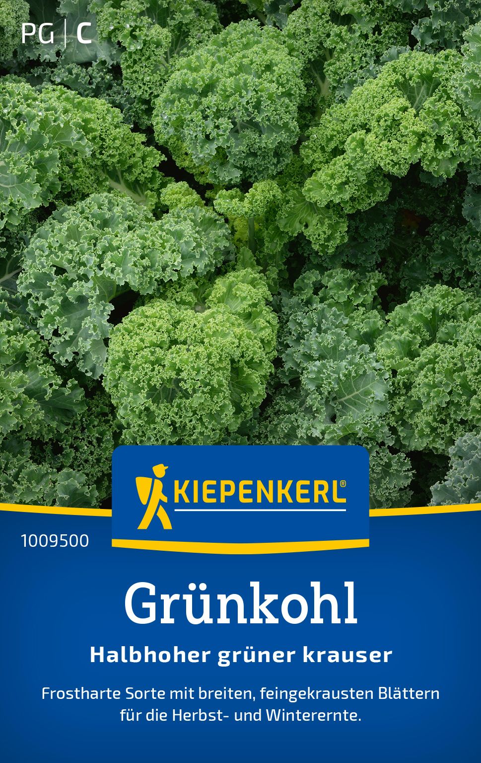 Essen, Grünkohl, Grünes Blattgemüse, Produzieren, Gemüse