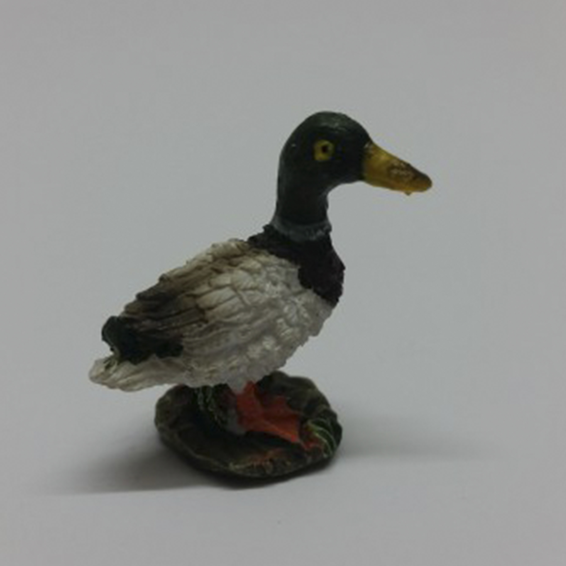 Ente steht auf großem Stein