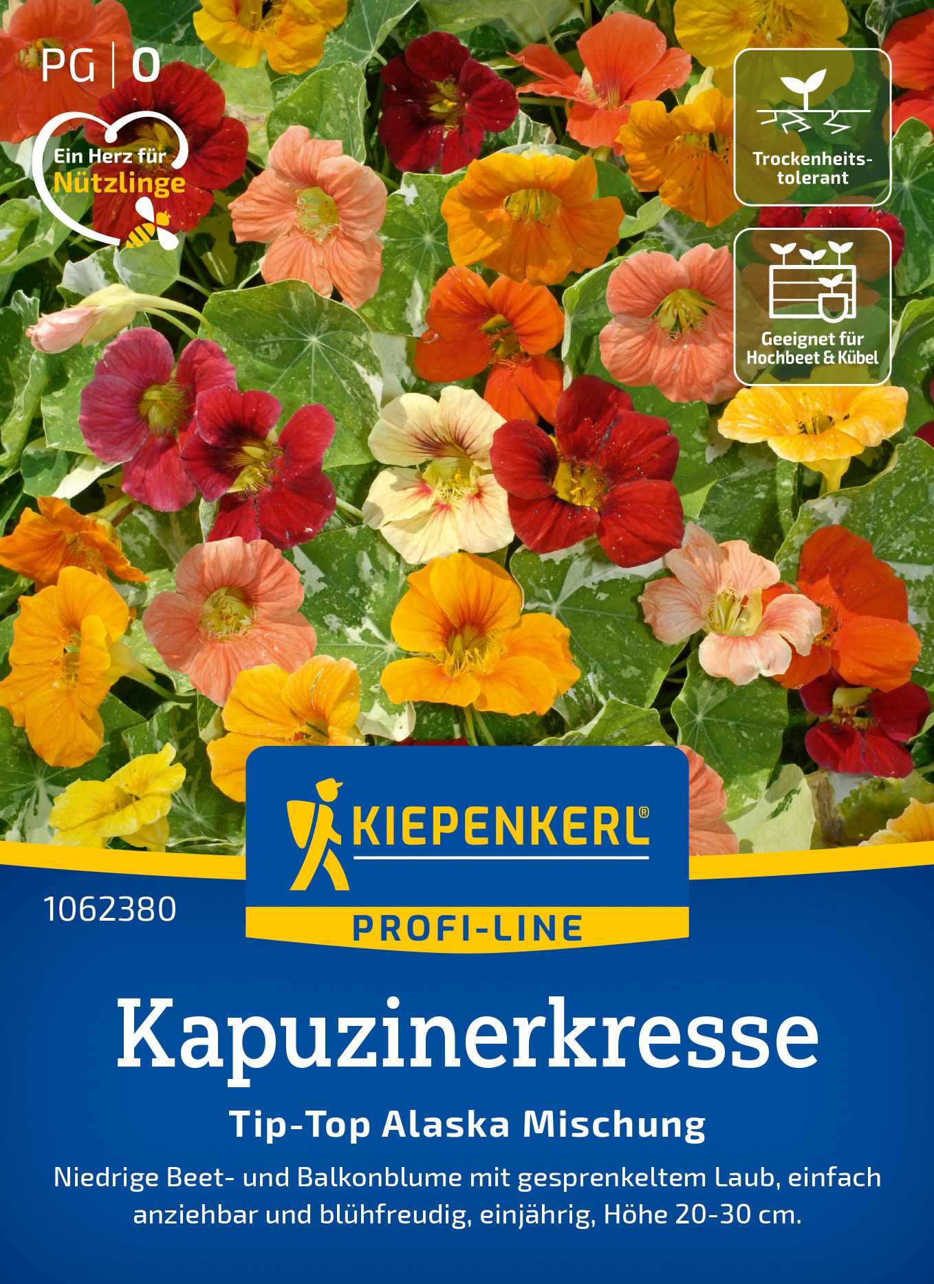 Werbung, Plakat, Blume, Pflanze