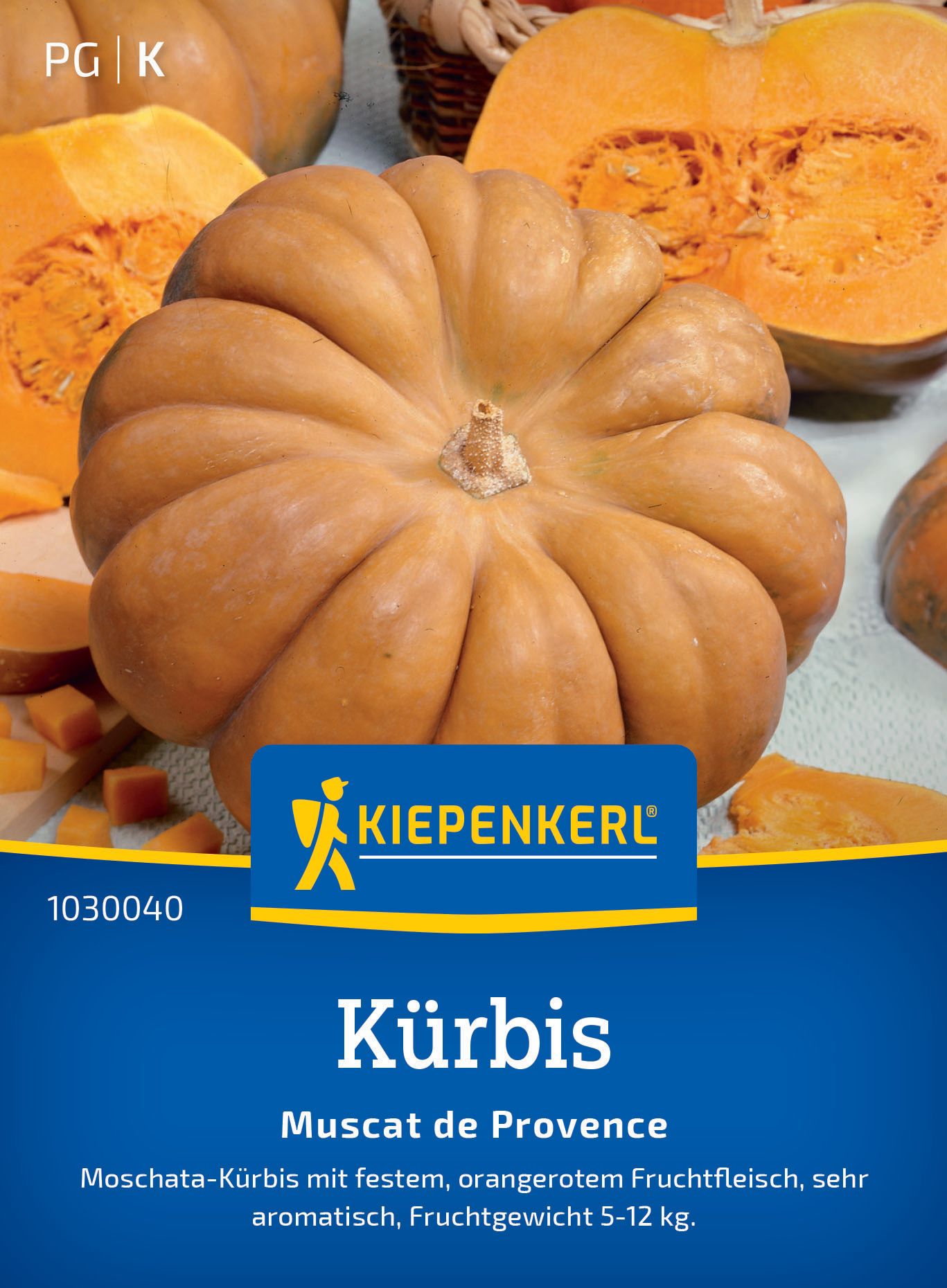 Werbung, Produzieren, Kürbis, Plakat, Squash