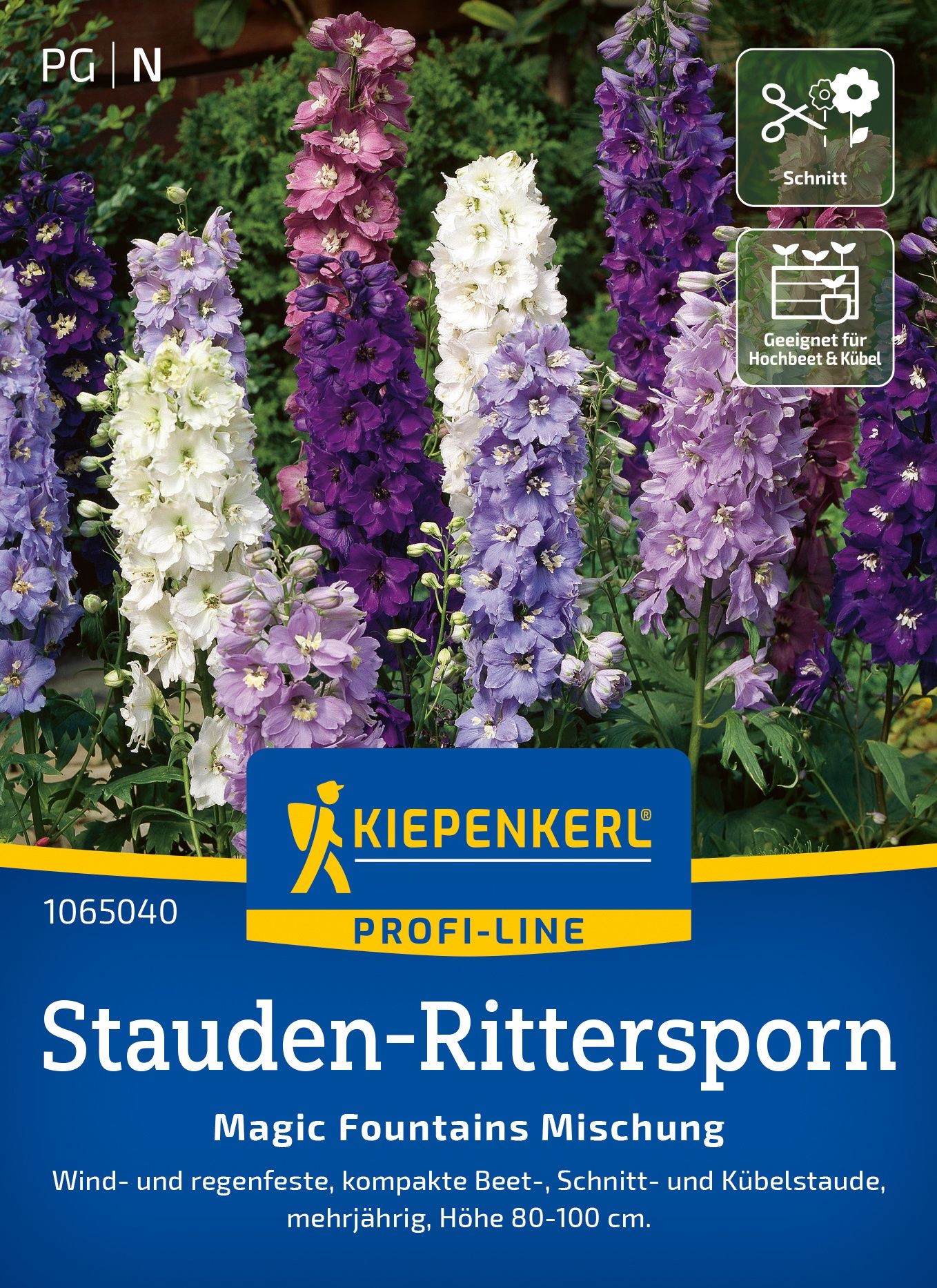Blume, Pflanze, Werbung, Plakat