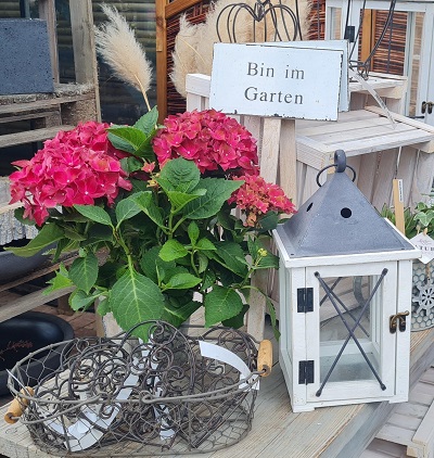 Topfpflanze, Pflanzgefäß, Blume, Lampe, Postfach, Pflanze, Pflanze im Topf, Pflanzgefäß, Blume, Lampe