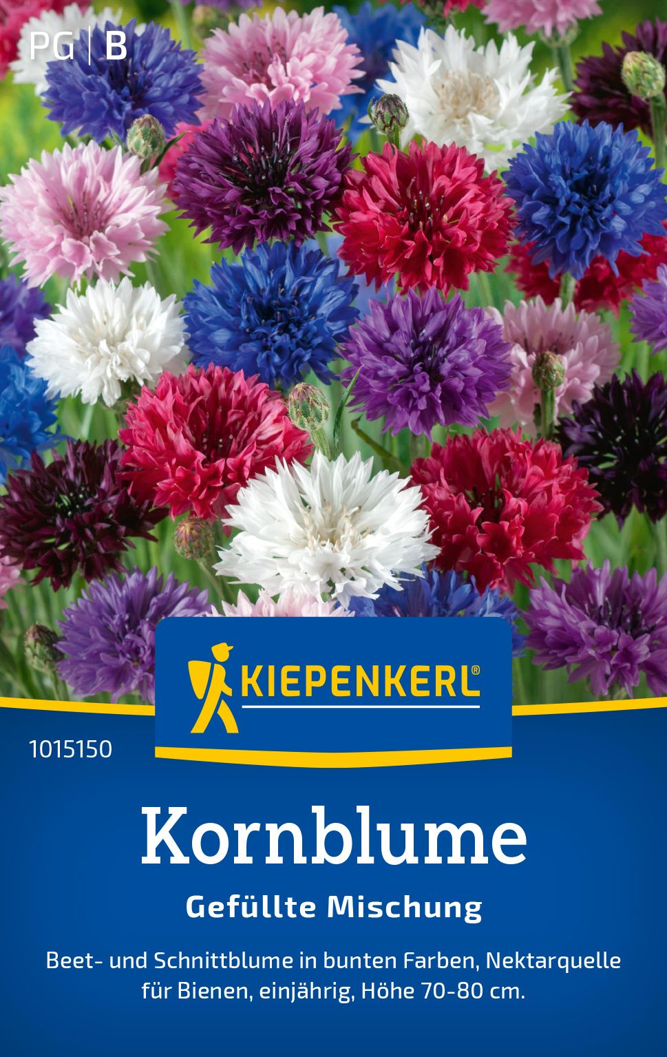 Werbung, Plakat, Dahlie, Blume, Pflanze