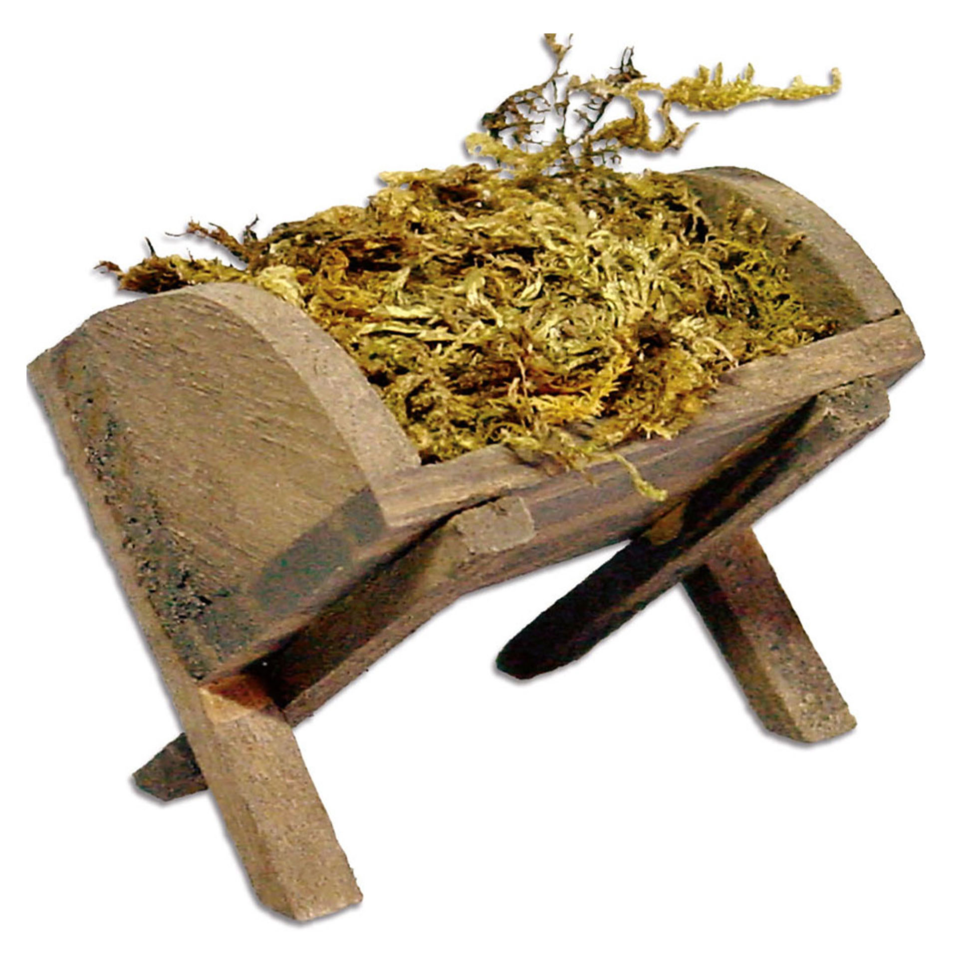 Futterkrippe mit Moos, Moos, Pflanze