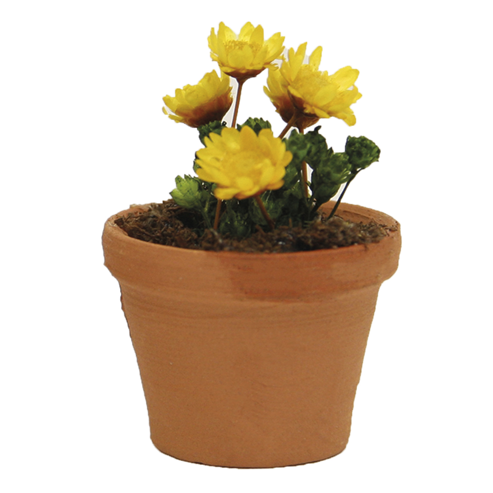 Blumentopf mit gelben Blumen Krippenbotanik für eine lebendige Krippenlandschaft