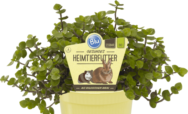 BIO Heimtierfutter