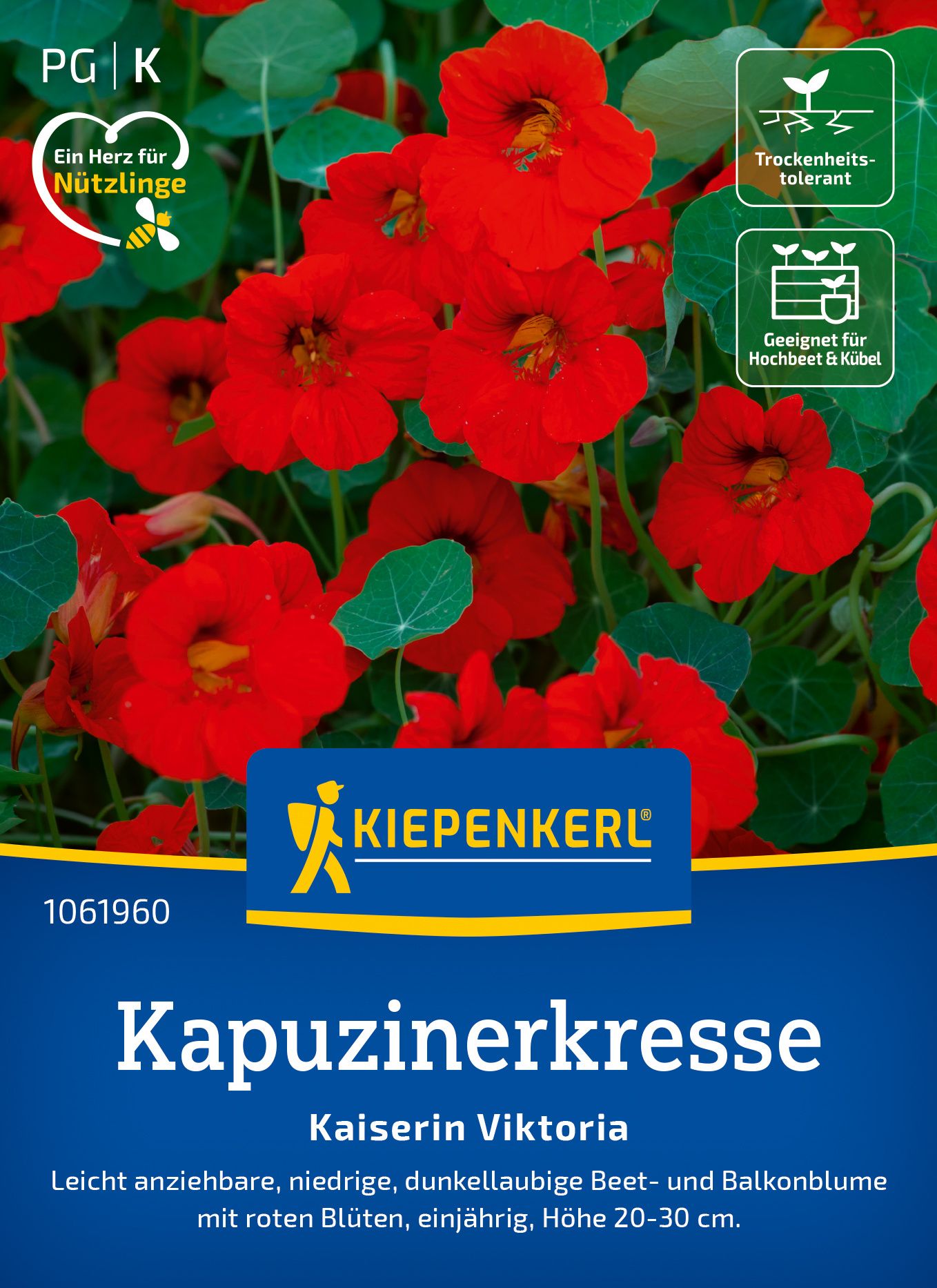 Werbung, Plakat, Blume, Pflanze
