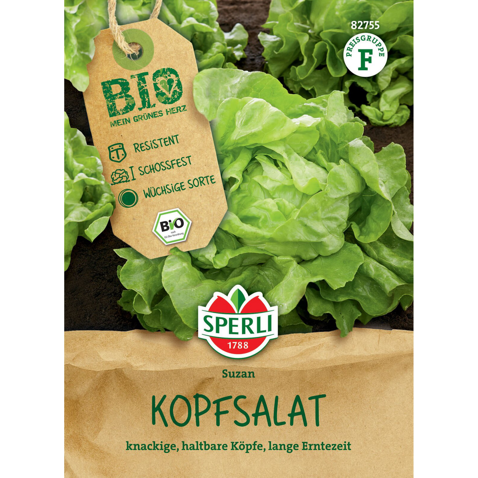 Essen, Produzieren, Kopfsalat, Pflanze, Gemüse