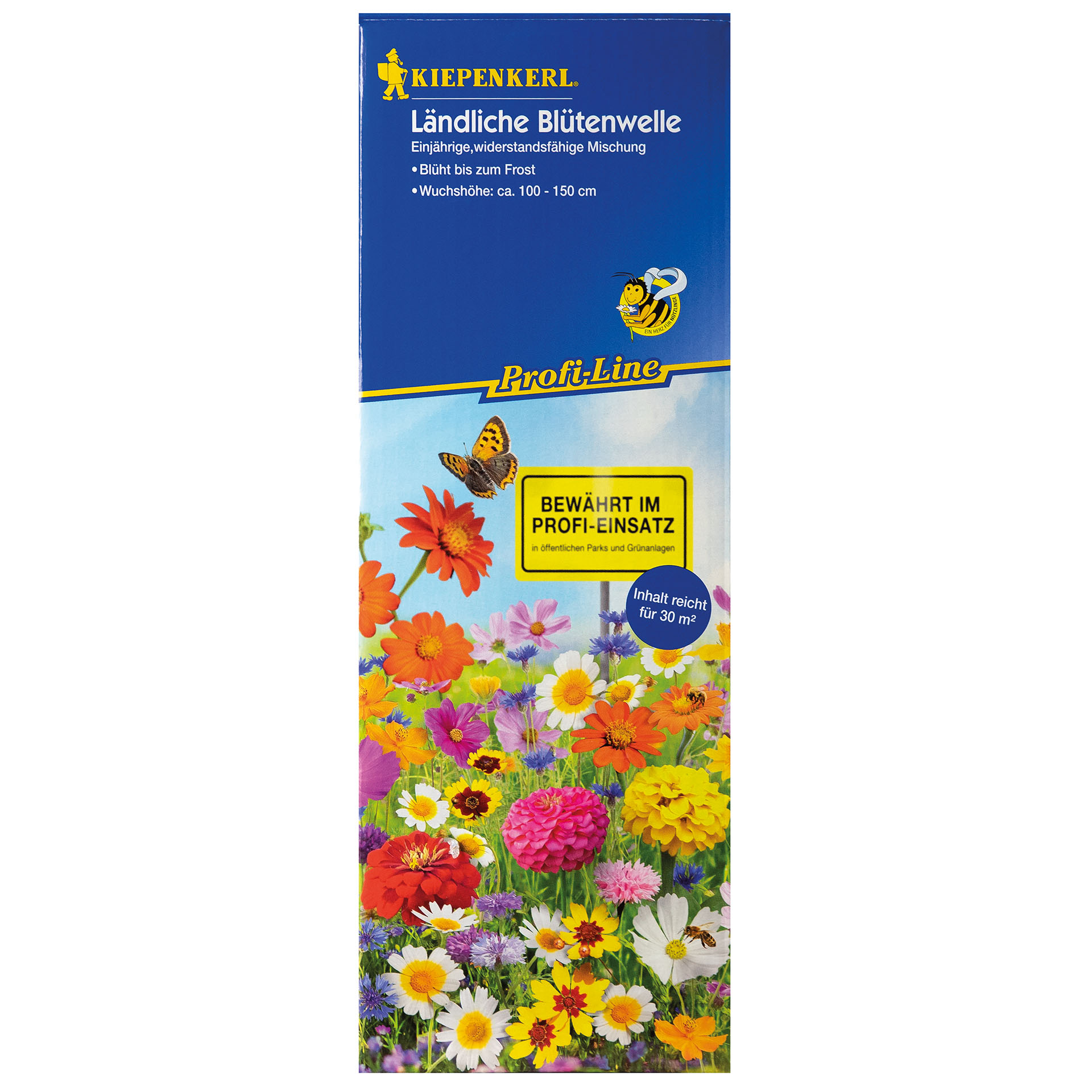 Ländliche Blütenwelle, Kräuterig, Pflanze, Gänseblümchen, Blume, Blütenblatt, Gänseblümchen, Kräuterig, Blütenblatt, Werbung, Plakat