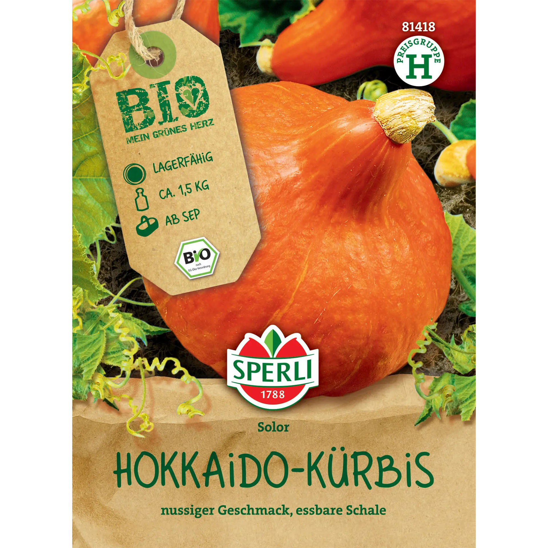 Essen, Produzieren, Squash, Gemüse, Kürbis