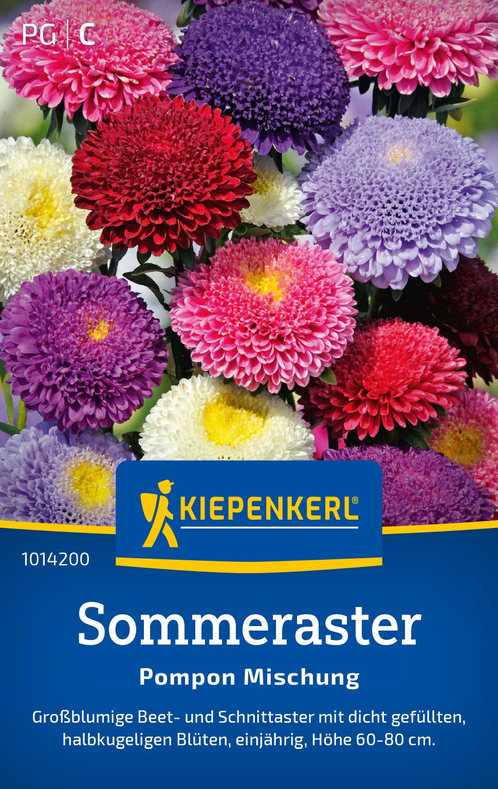 Werbung, Plakat, Dahlie, Blume, Gänseblümchen