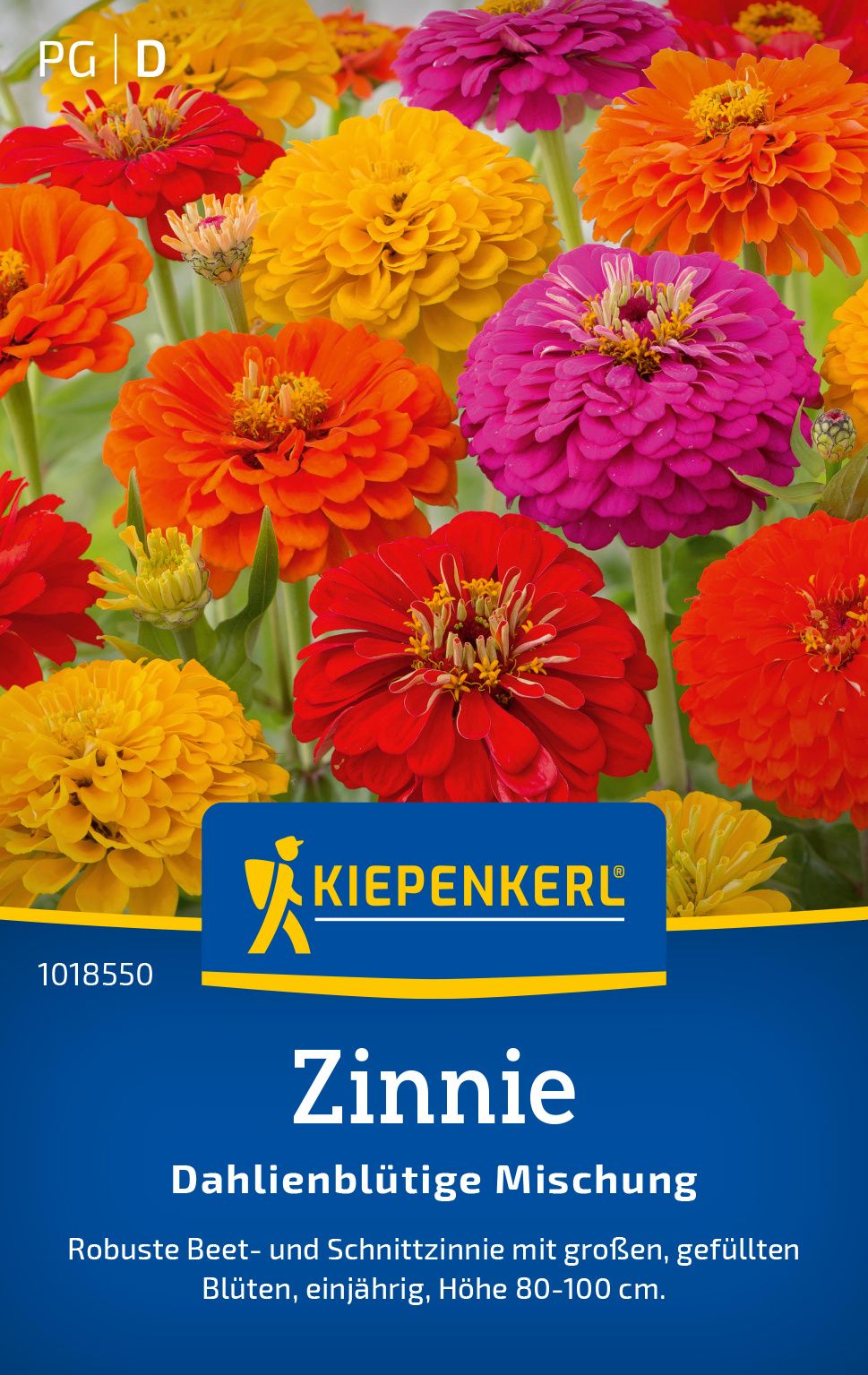 Werbung, Plakat, Dahlie, Blume, Pflanze