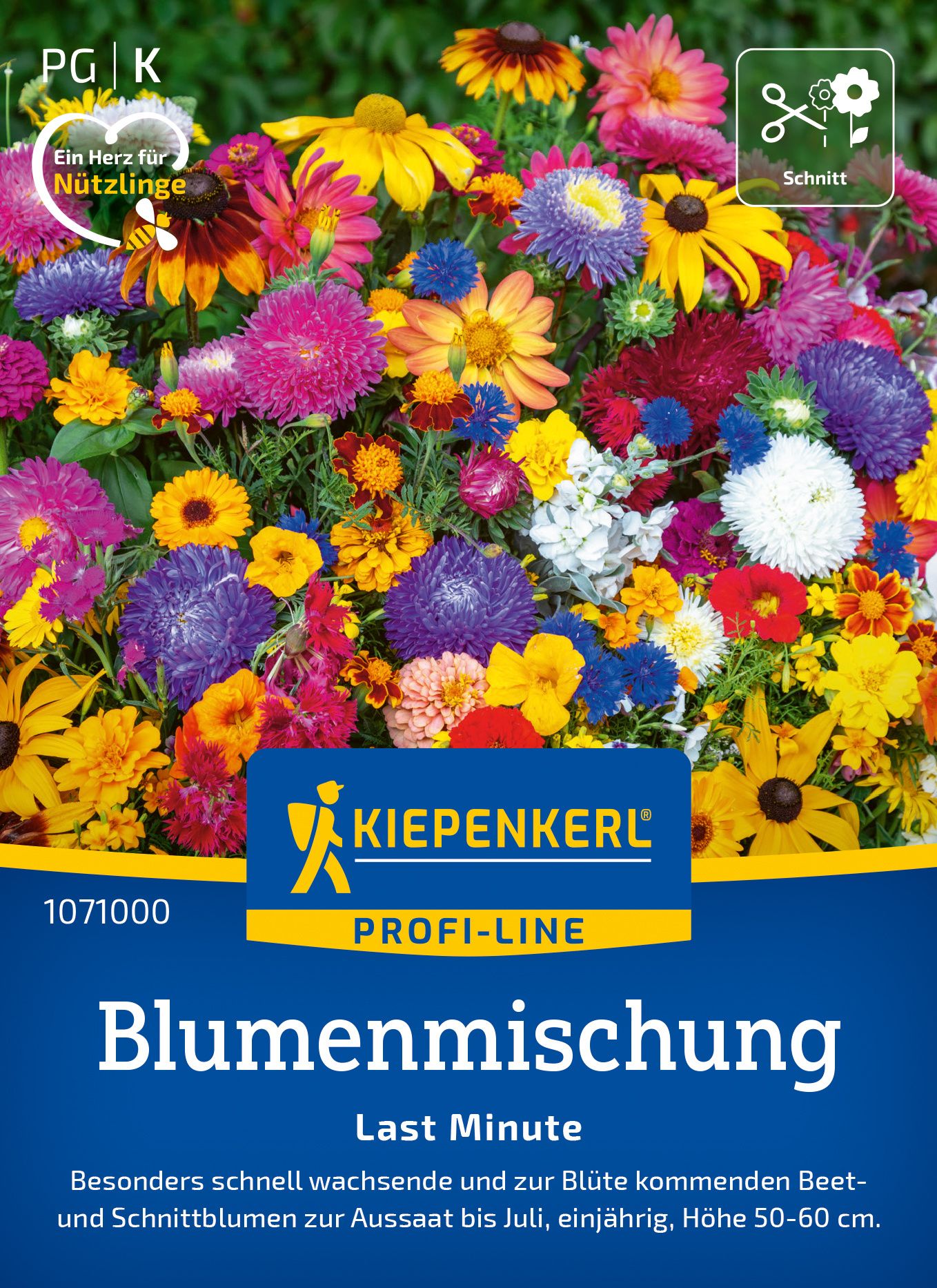 Werbung, Plakat, Blume, Gänseblümchen, Blütenblatt
