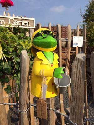 Zaunhocker Fischers Fritze